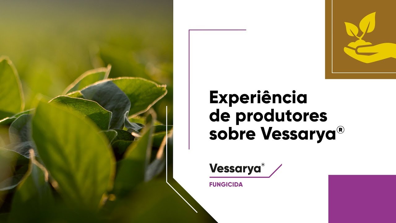 Testes realizados nas safras 2015/16 e 2016/17 comprovam a eficácia de Vessarya®